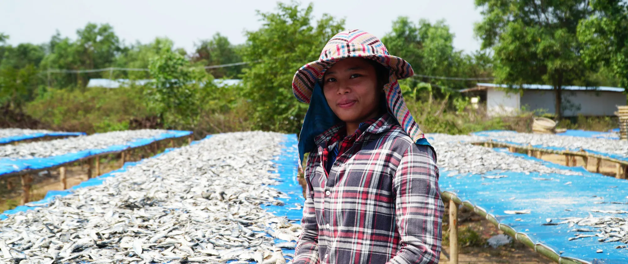 Young Cambodian migrant woman sorting fish on stalls in Thailand