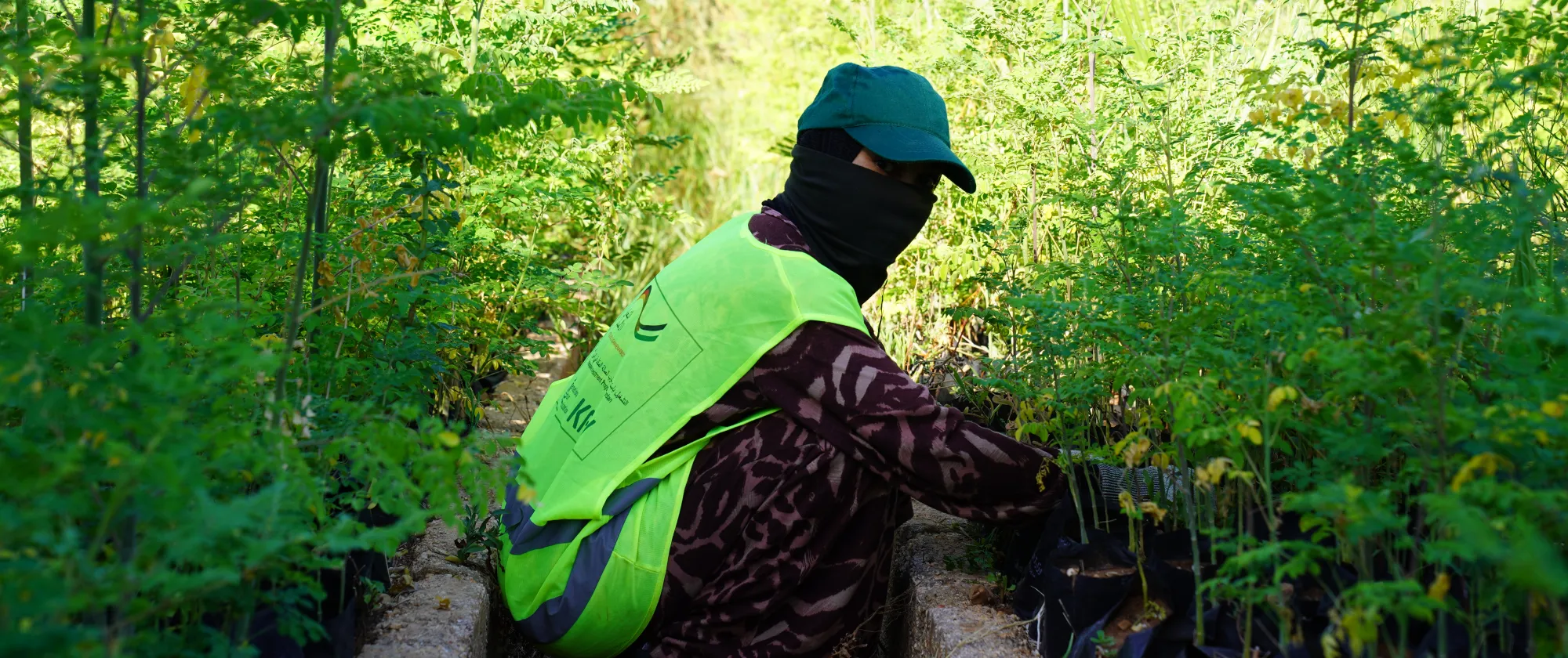 A refugee working within the EIIP project in Jordan. 9/11/2024