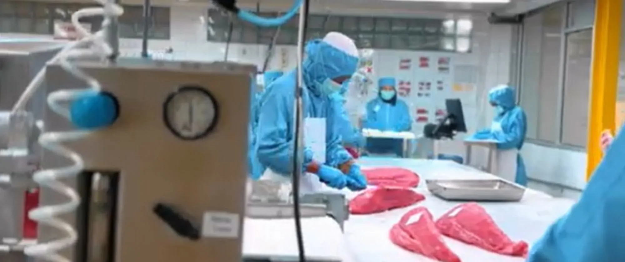 Four workers processing tuna on the table