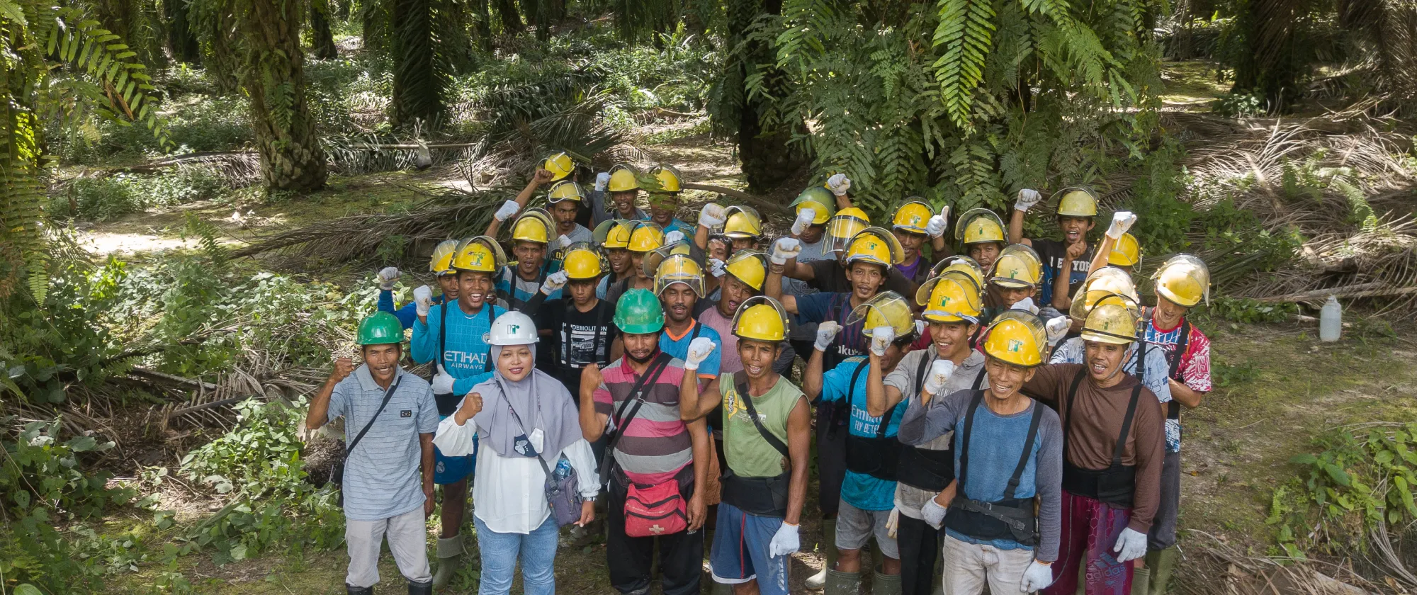 large group of workers wearing PPE in Indonesian palm oil sector