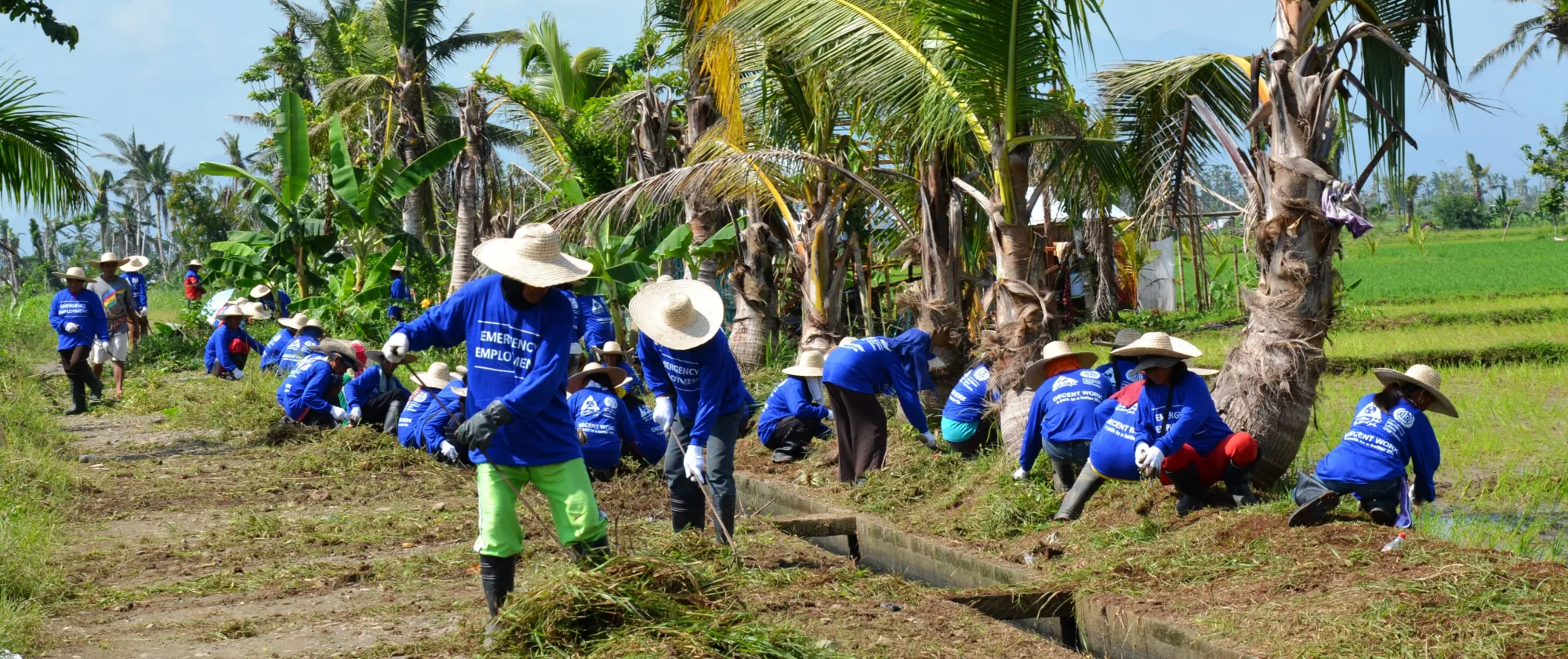 Workers wearing protective gear clearing brush