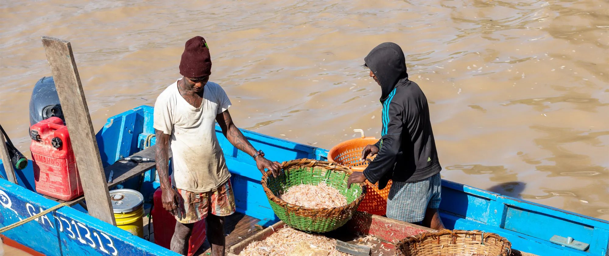 Two men standing on a small blue fishing boat on a river in Guyana, sorting shrimp into large woven baskets. 