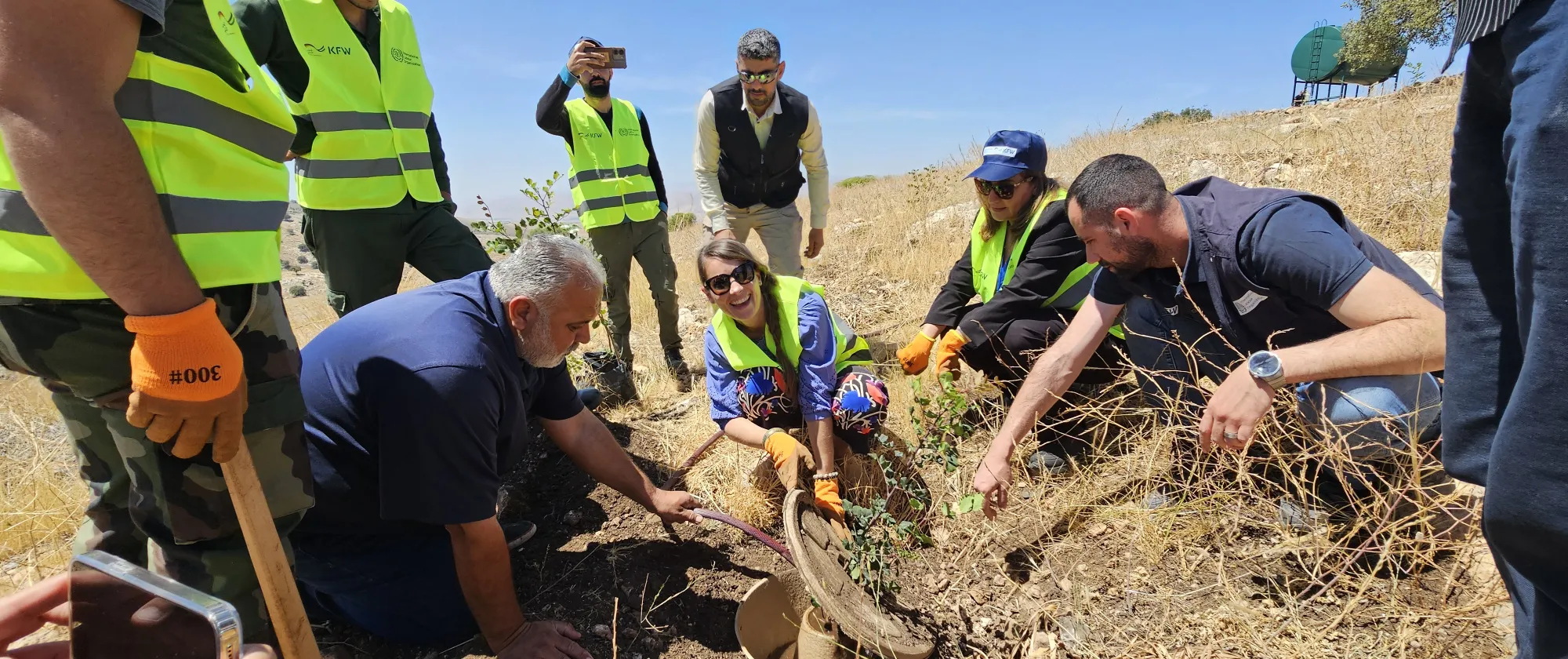 KfW and ILO officials during the field visit of EIIP’s afforestation initiative in Al Koura, Irbid. May 2025