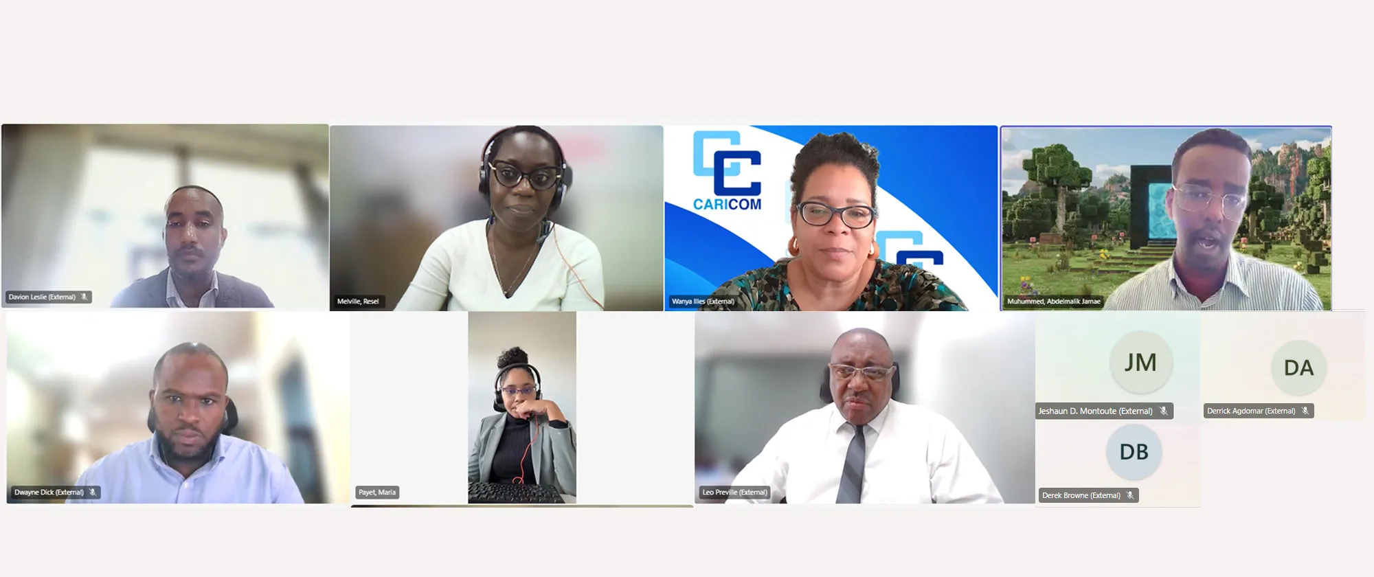 A virtual meeting shows several participants in a grid layout, each in their own video window. 