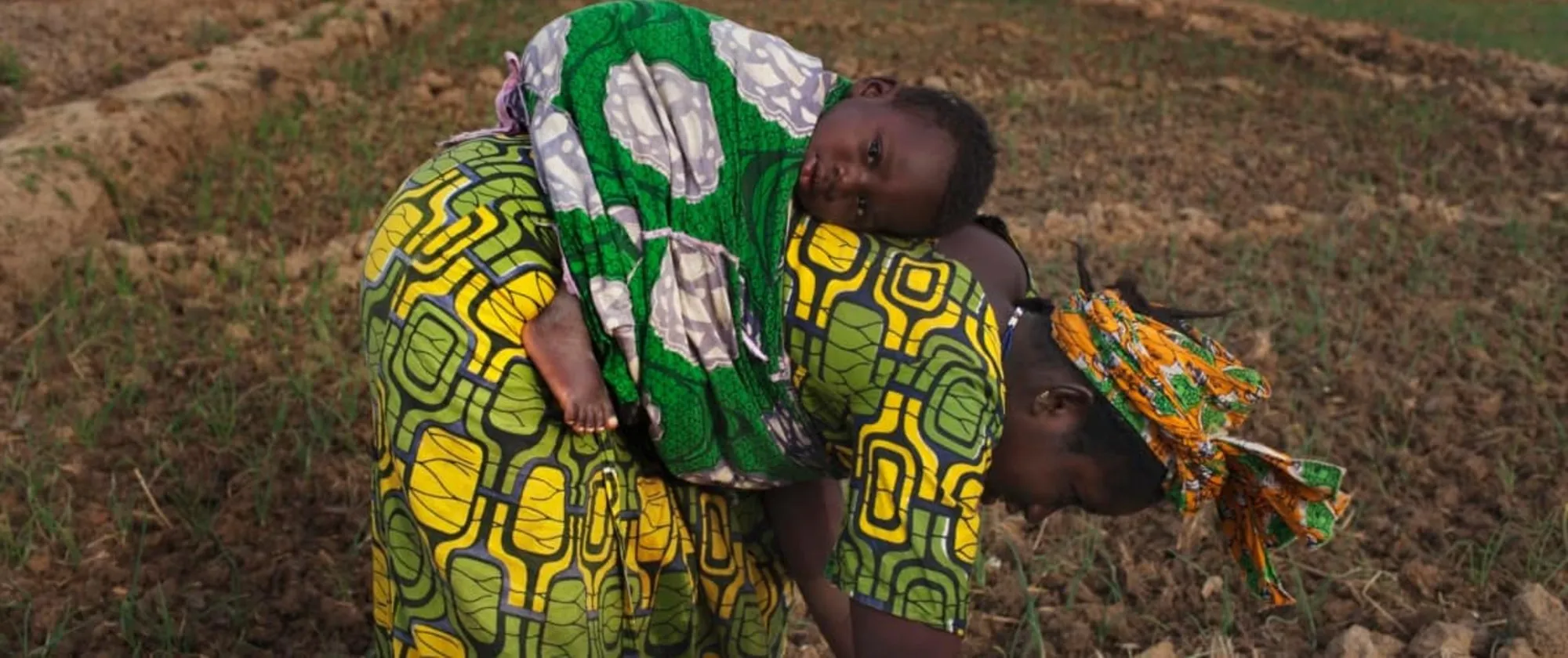 woman harvesting with child on her back