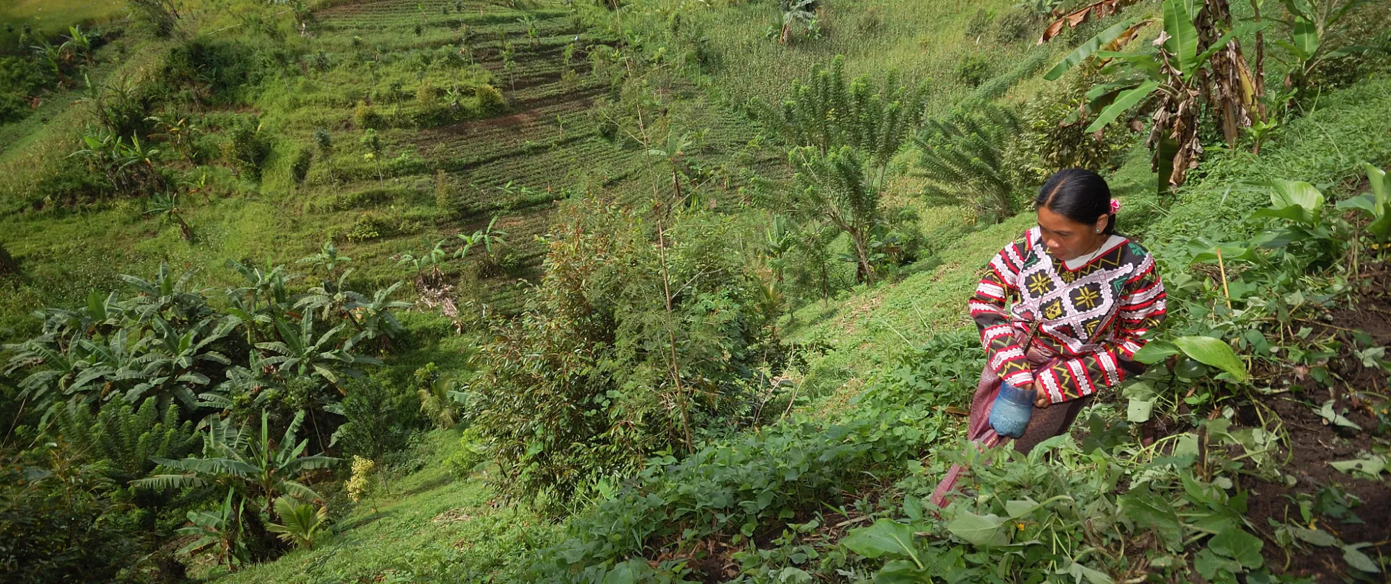 Woman farms the uphill land near Lake Sebu in Philippines