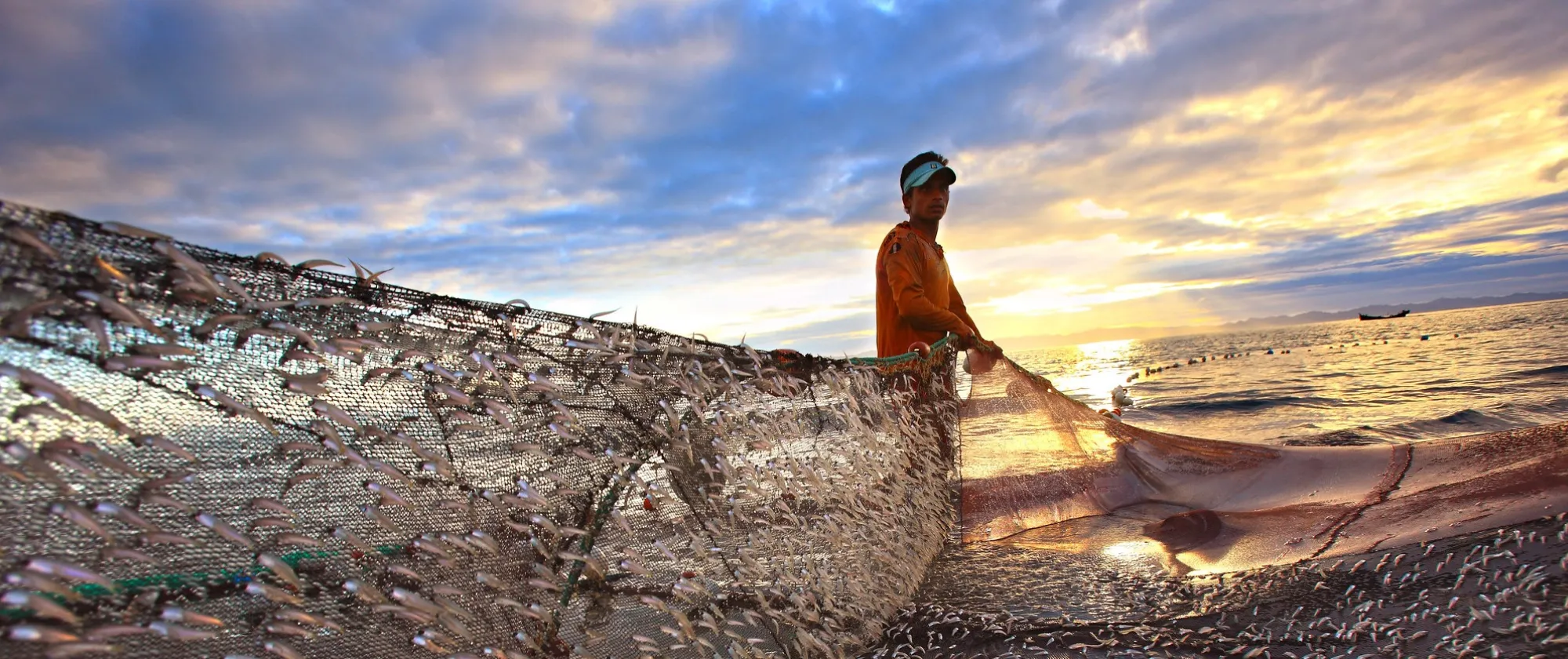 Fishing at Saint Martin Island, Bay of Bengal. 