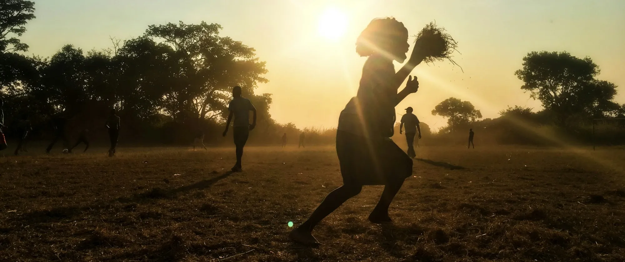 people backlit in a field