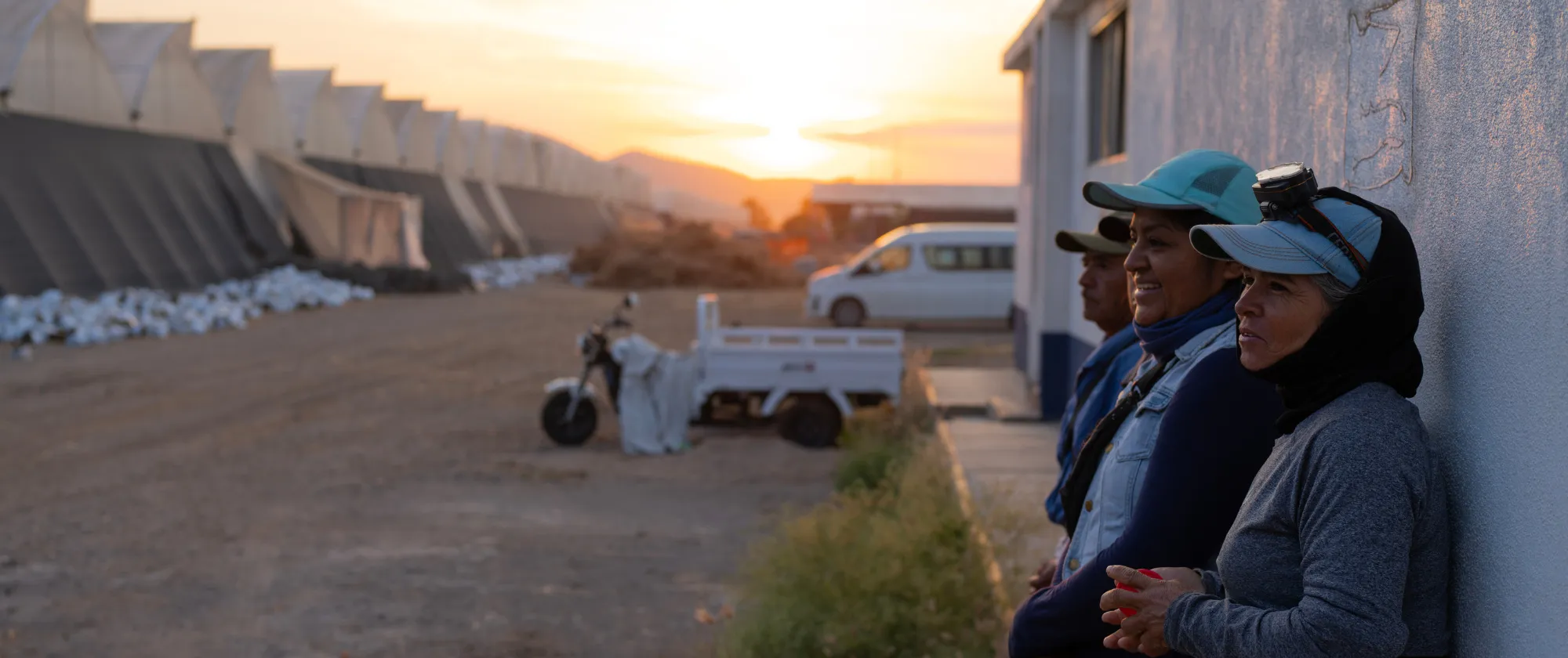 El cambio climático supone un peligro cada vez mayor para los trabajadores de todo el mundo. El estrés térmico afecta a los trabajadores agrícolas de los invernaderos de Jalisco, México.