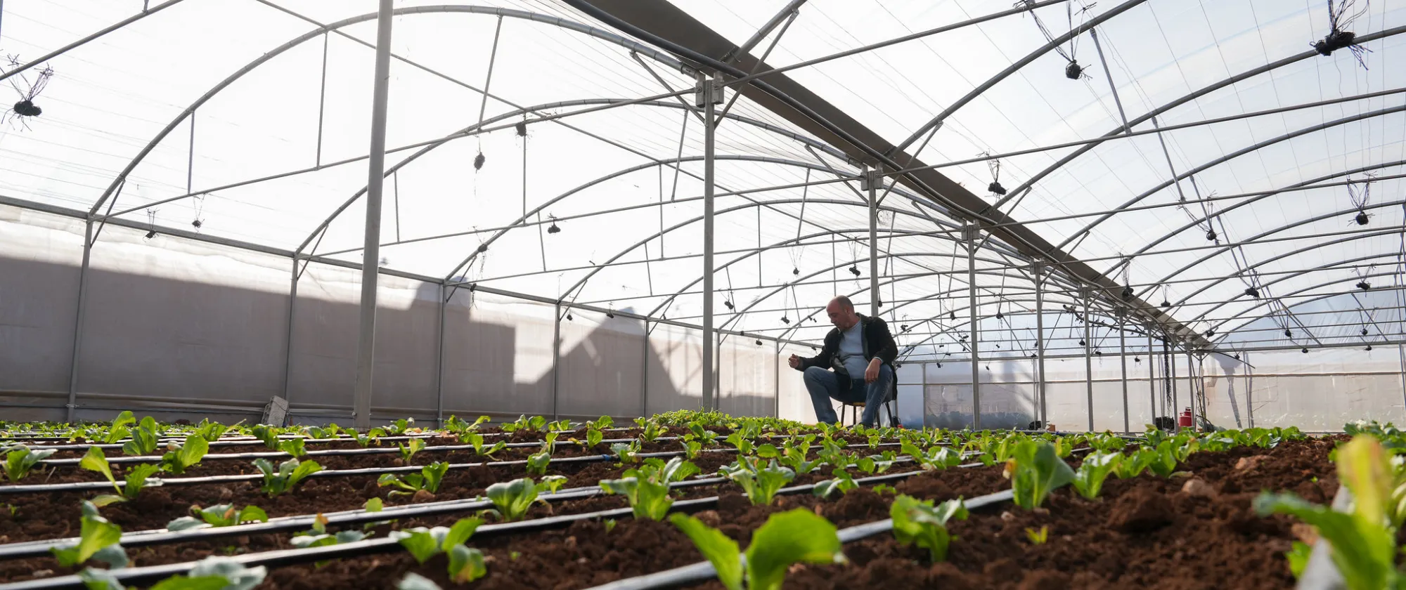 greenhouse in Lebanon