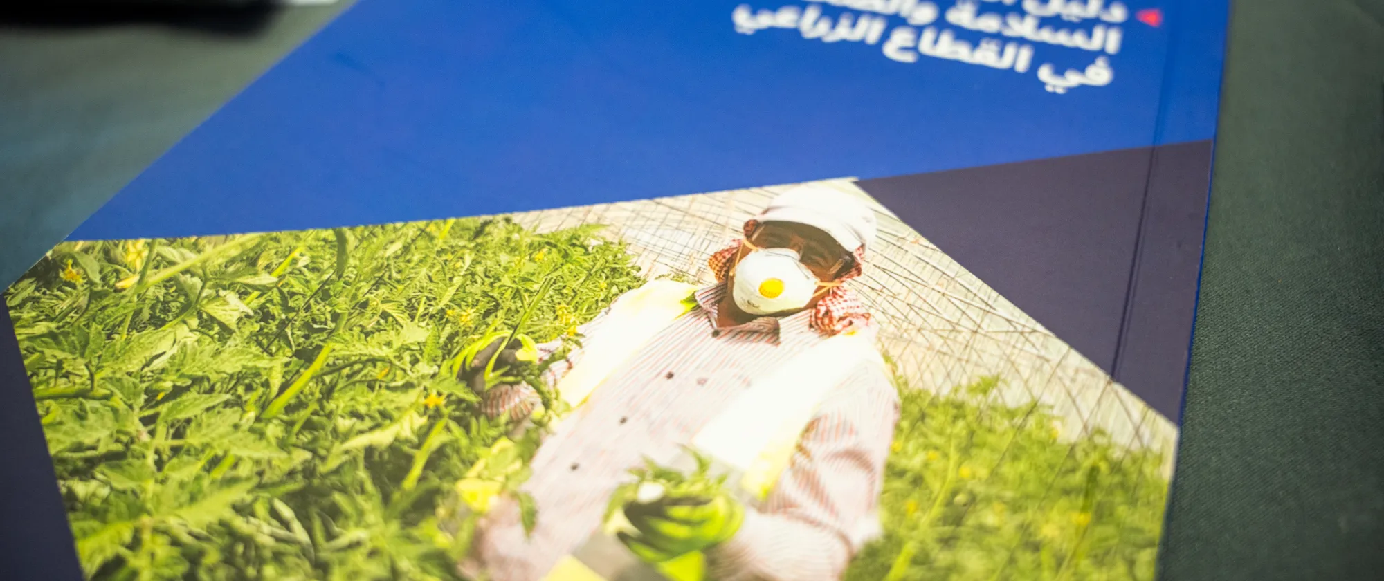 copy of OSH in Agriculture guide