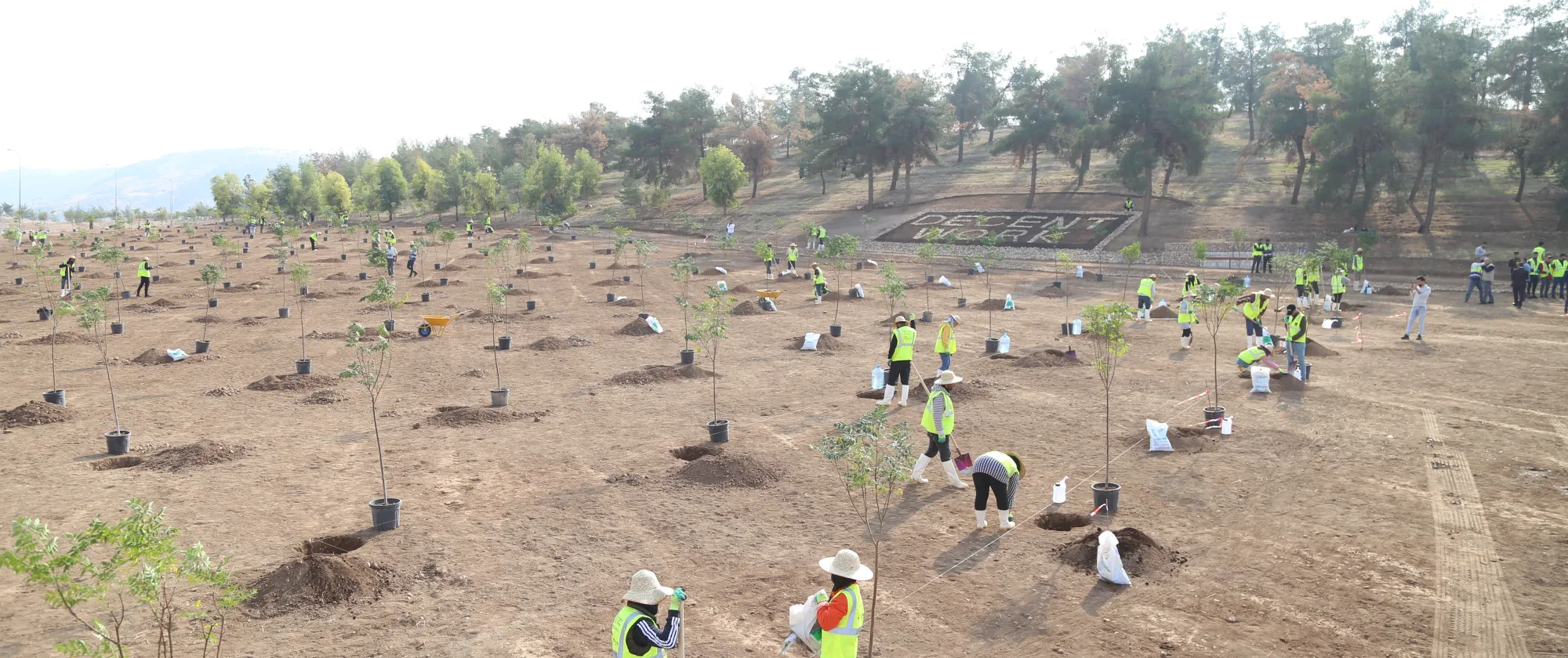 workers in iraq at a plantation site