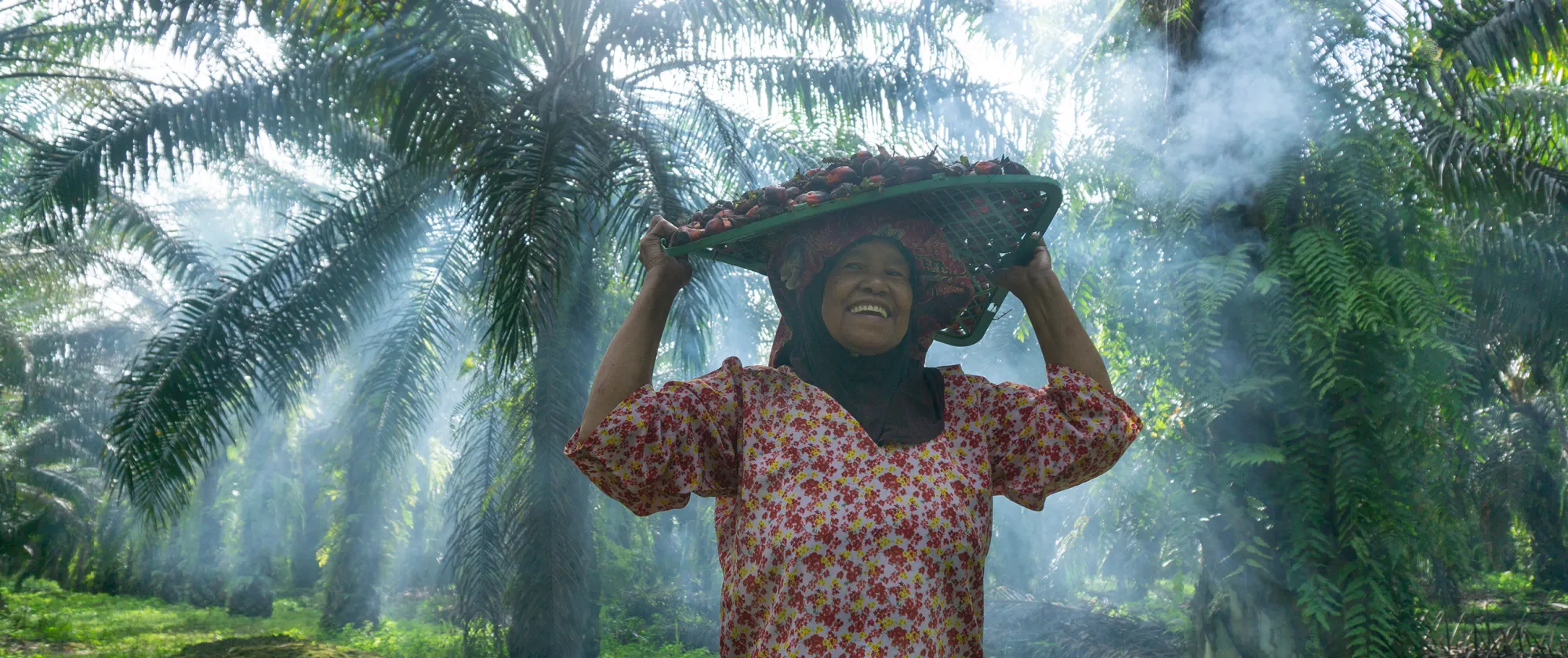 A woman works on an oil palm plantation in Malaysia.