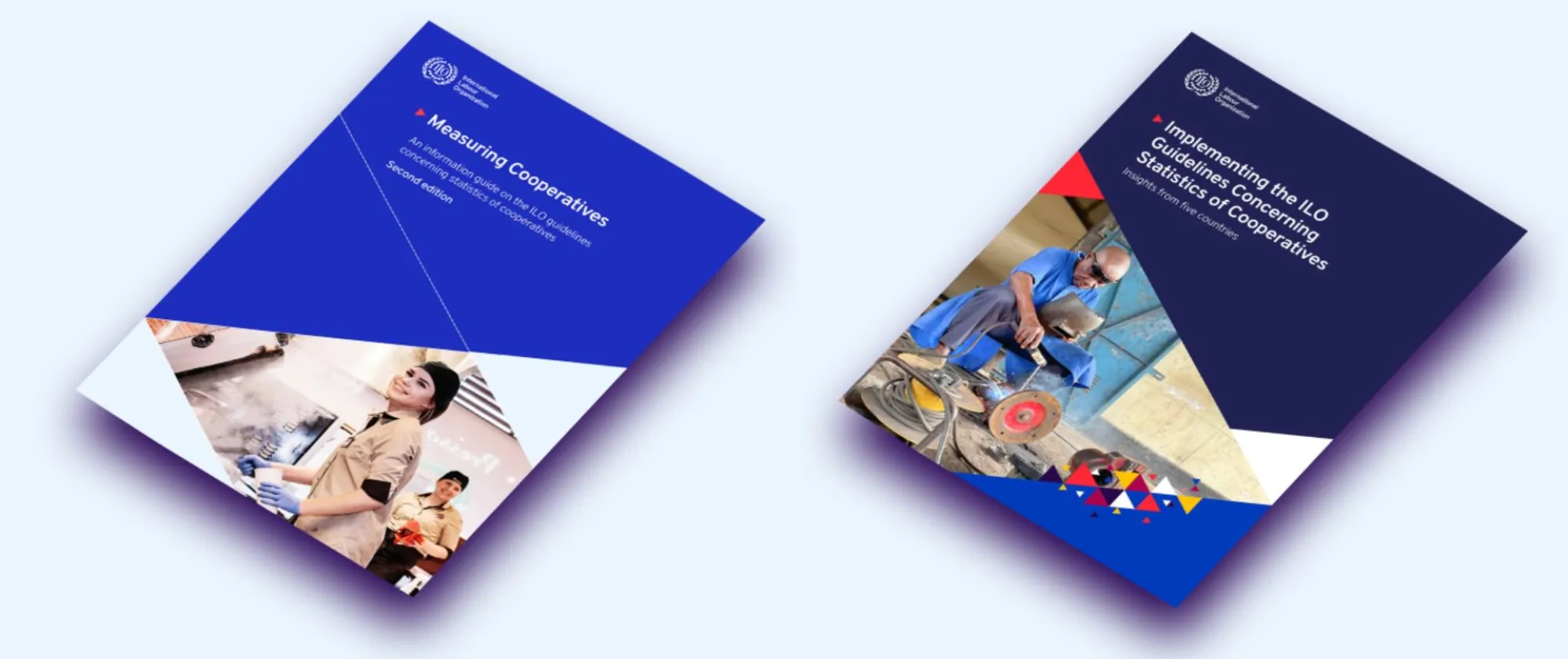 Advancing cooperatives statistics