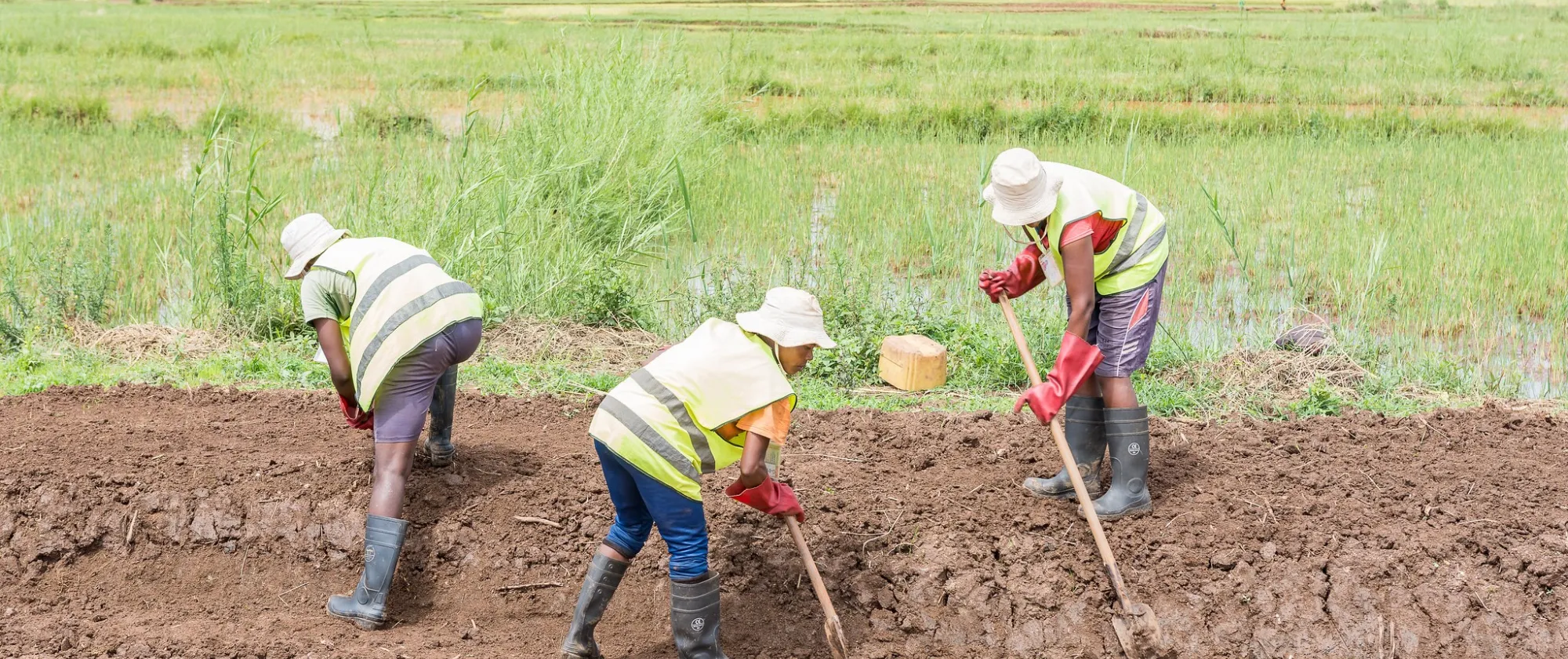 Three workers at an irrigation ditch in Madagascar