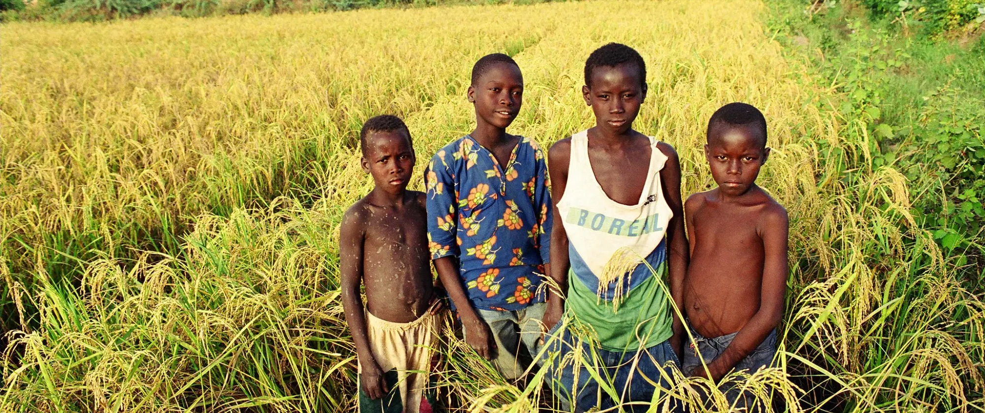 children in a field in Nigeria