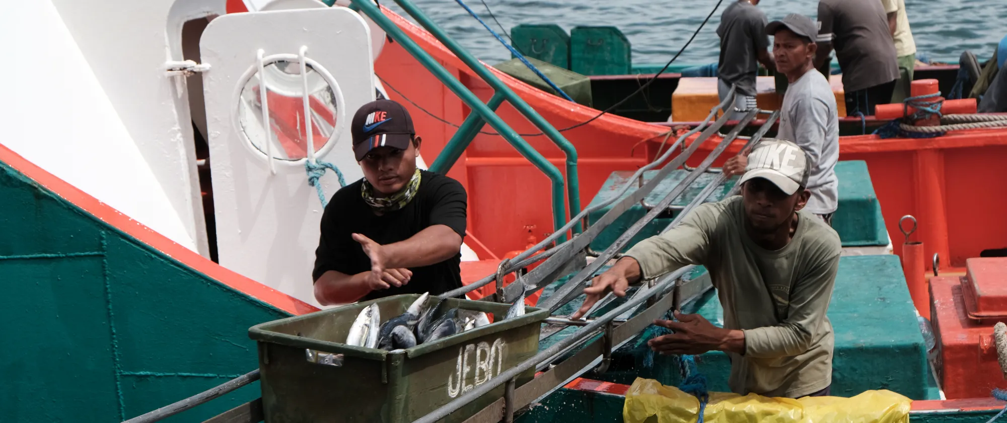 fishers unload their fresh catch on a wooden boat