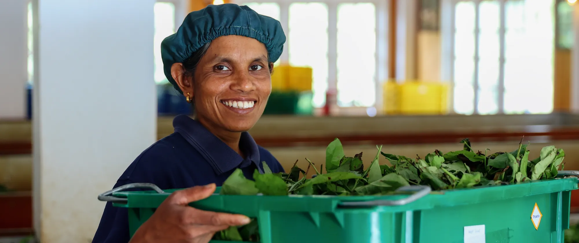 Female workers lift a basket full of green leaves.