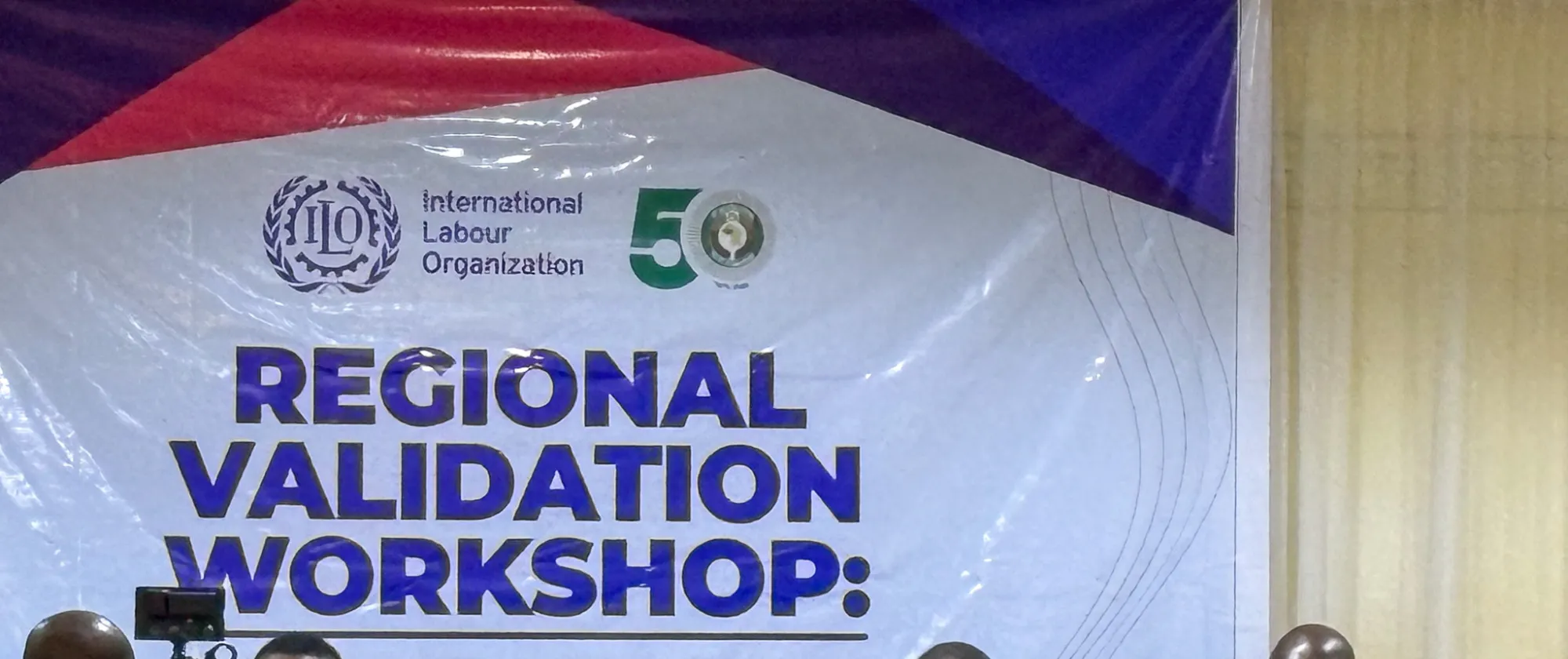 Celebrating 50 Years of Impact: Regional Validation Workshop