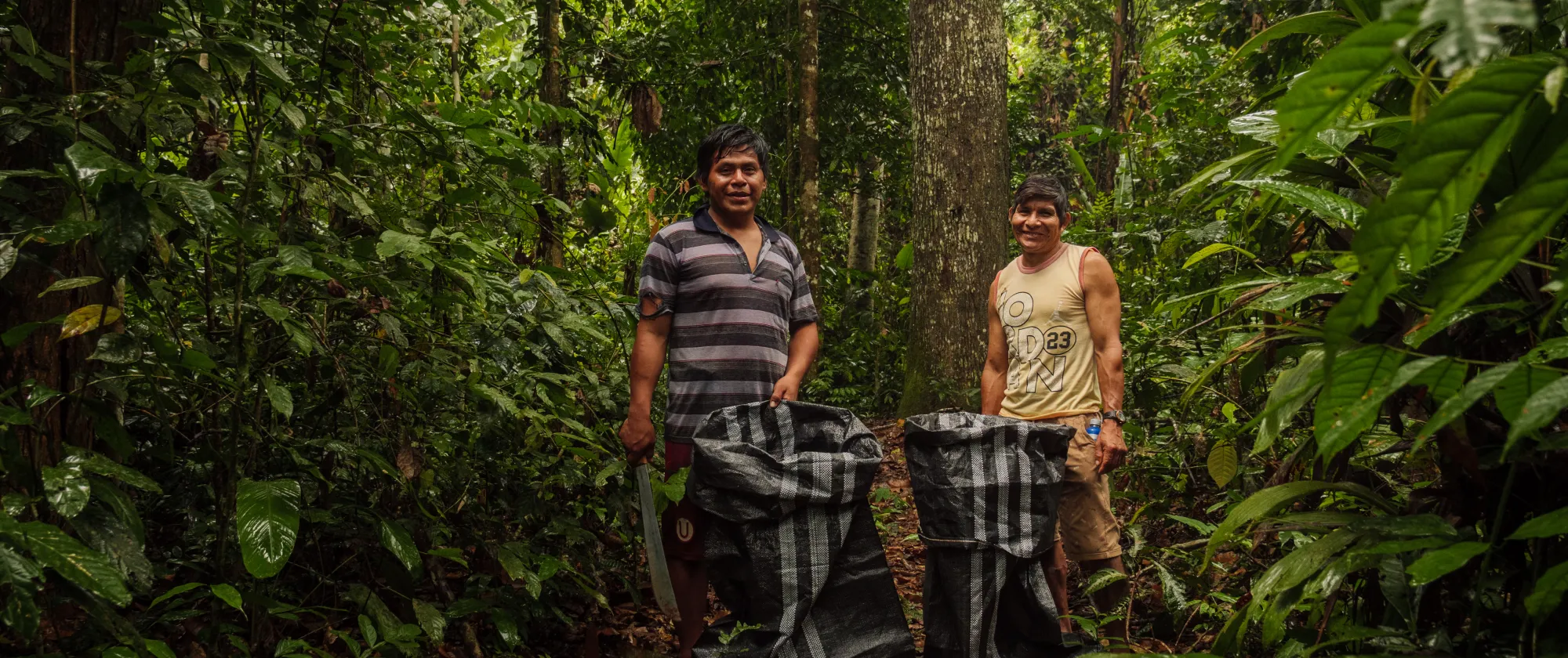 Two men at Amazonian border harvesting nuts