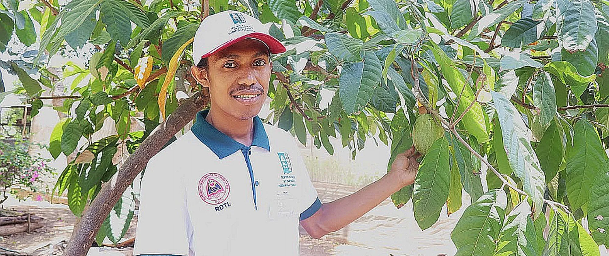a man holding a tree