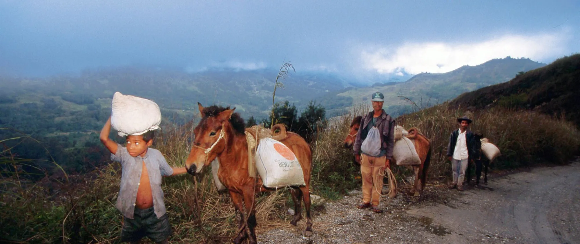 a kid and two adults with their donkeys carrying heavy sacks
