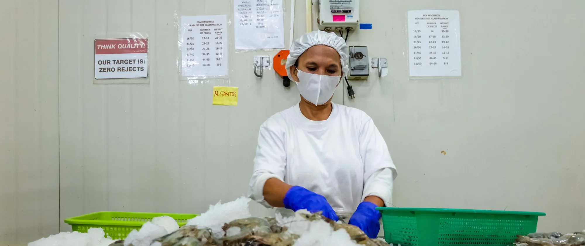 a female worker in shrimp production