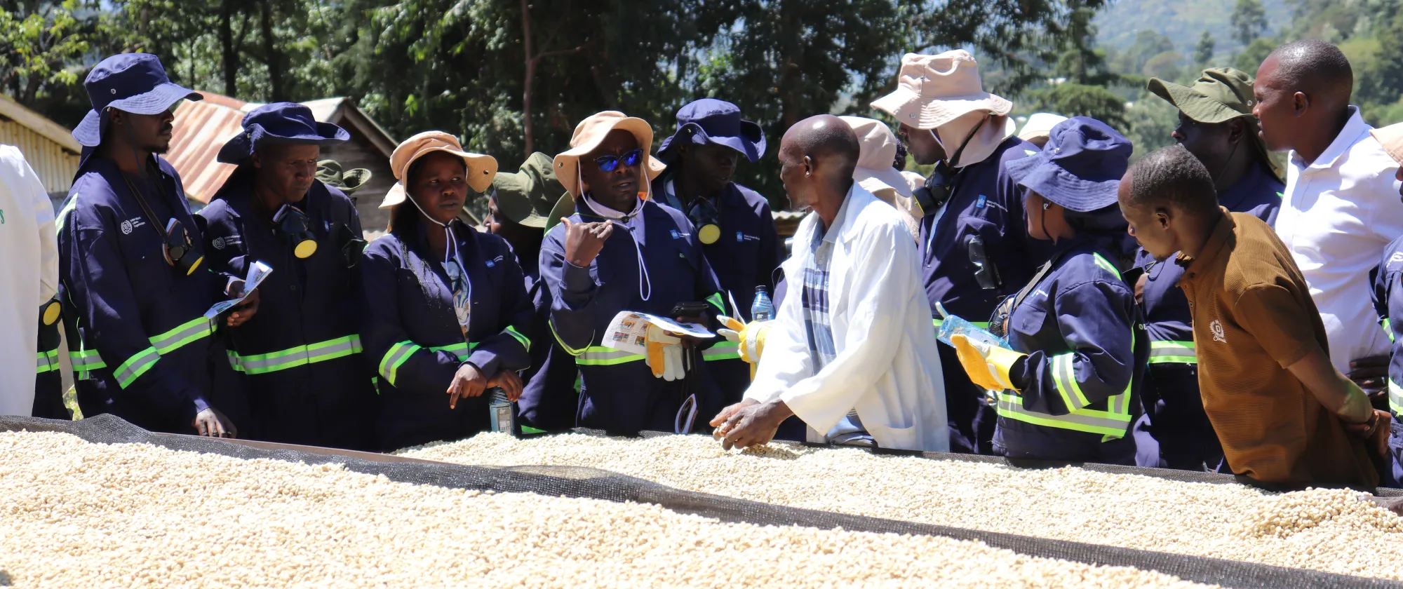 Participants listen to trainer during a field visit