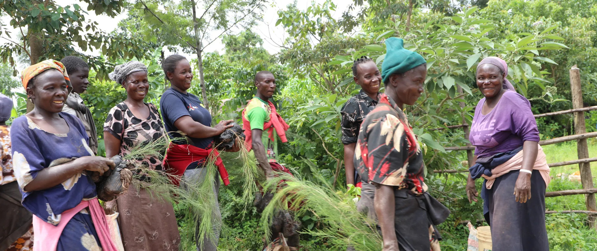Kenyan men and women carrying plants