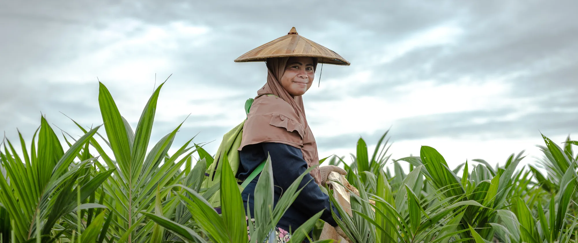 A worker removes unwanted weeds growing in the polybags of palm-oil seedlings.