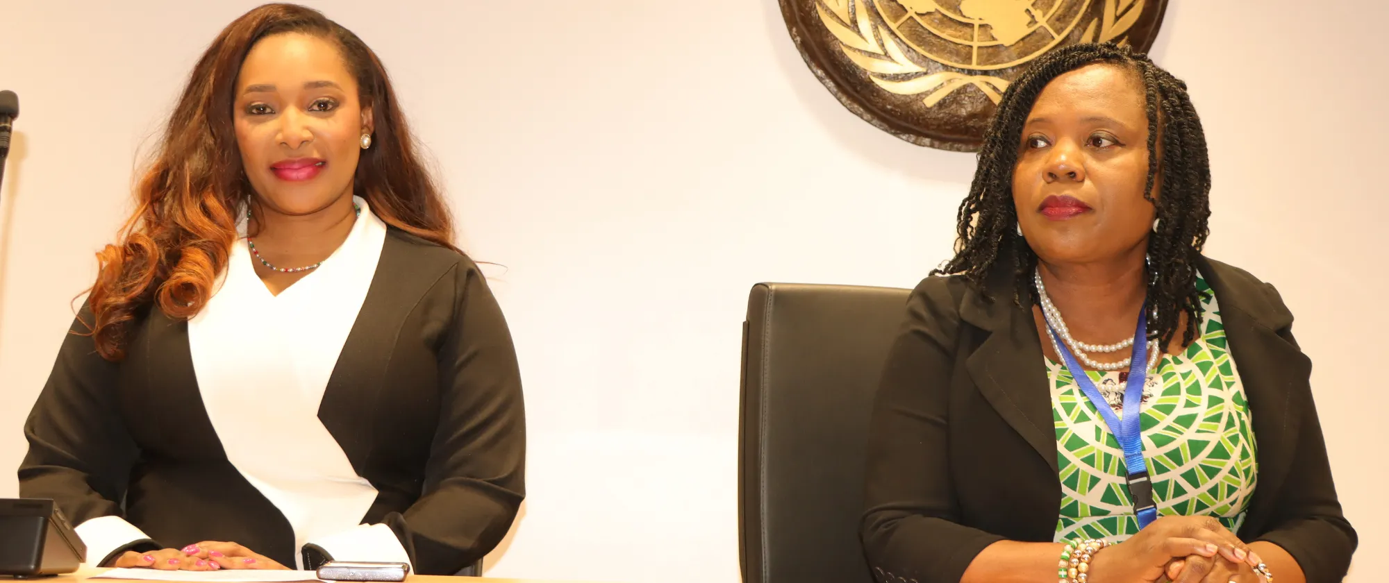 Two officials seated at a conference table during the validation workshop in Abuja