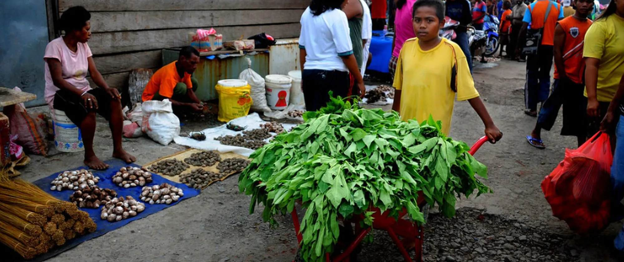 A boy pushes a cart full of vegetables