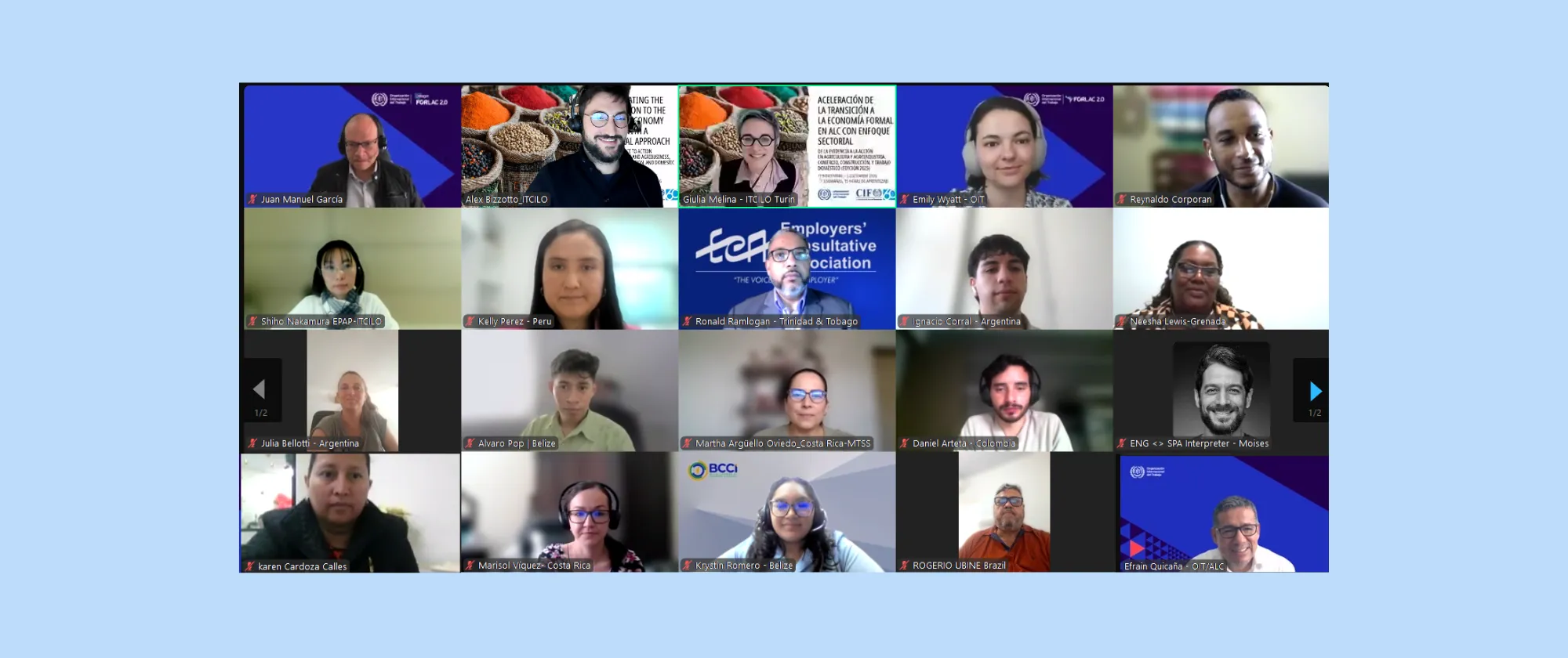 Captura de imagen de los participantes del curso virtual