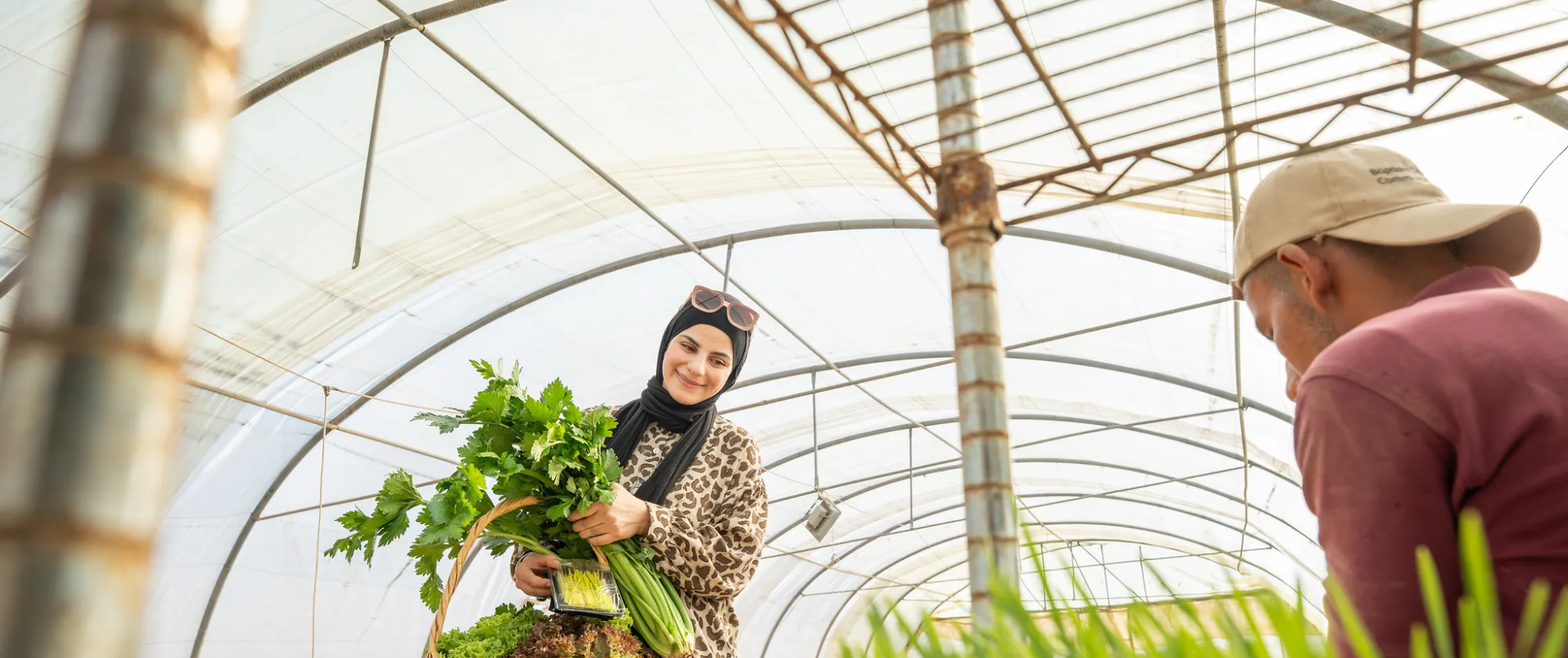 woman inside a greenhouse in Jordan