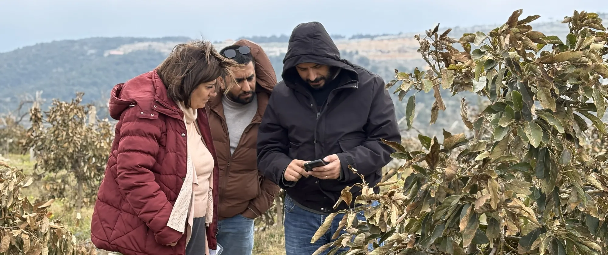  Farmer, consultant, and agritech provider reviewing irrigation system performance via the mobile application.