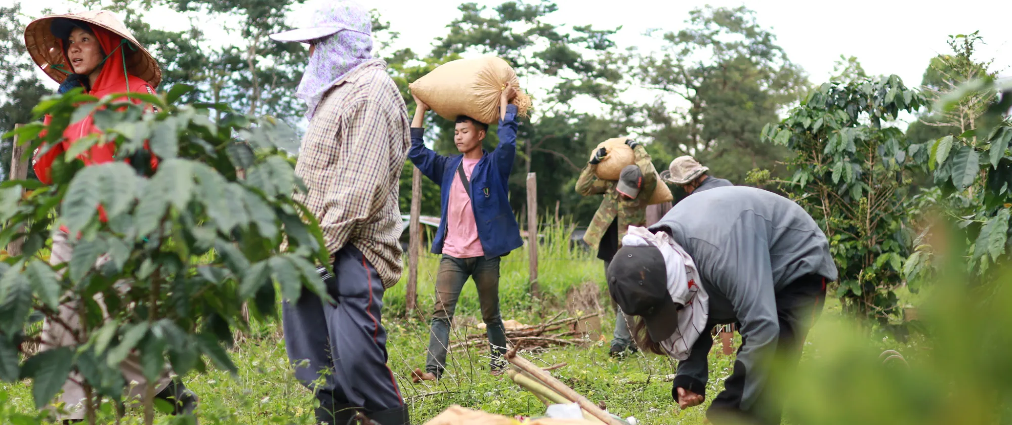The ILO is supporting efforts of the Lao Social Security Office to expand social security coverage to rural areas of the Lao People’s Democratic Republic