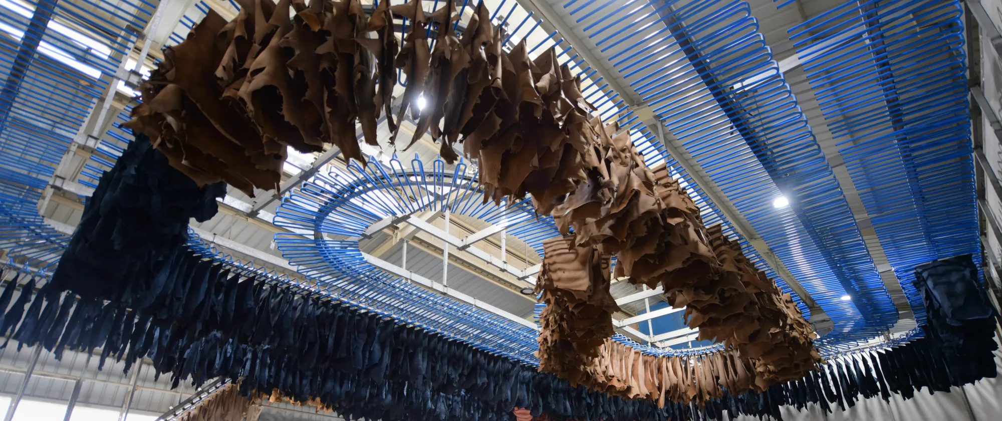 Pieces of leather are left hanging to dry in a leather tannery.