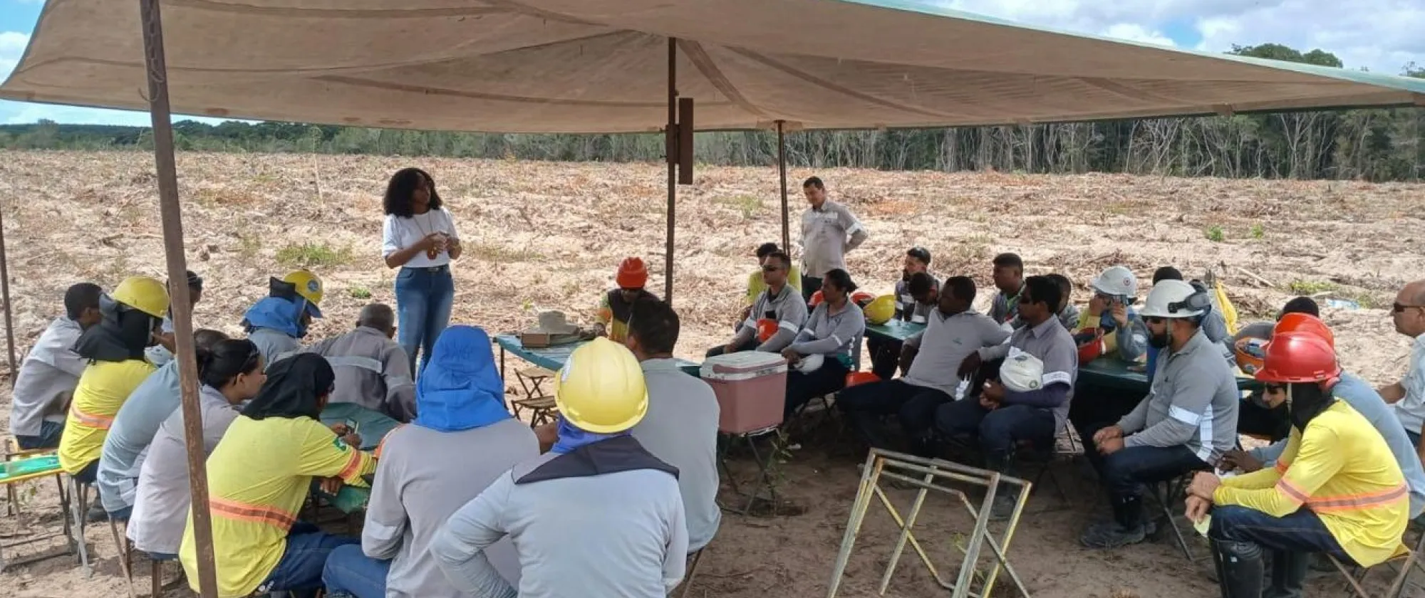 Training with workers in forestry farms in Brazil