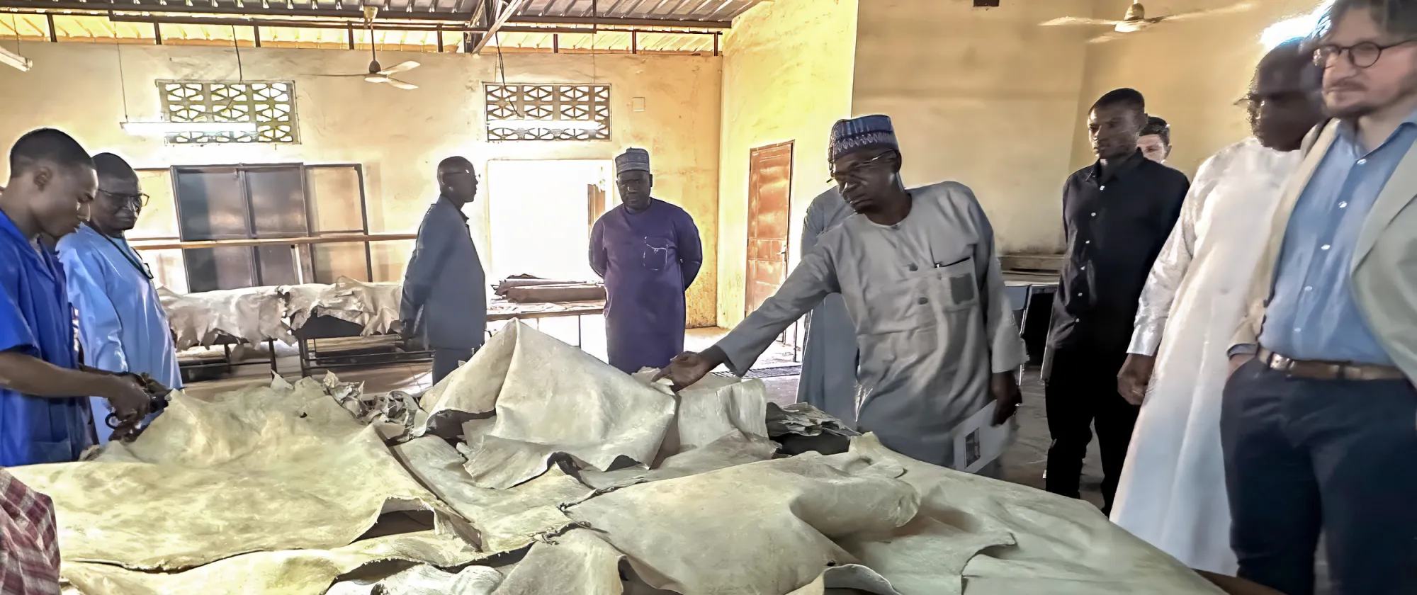 Des participants visitent un atelier de traitement des cuirs et peaux au Niger, autour de grandes pièces de cuir disposées sur des tables de travail.