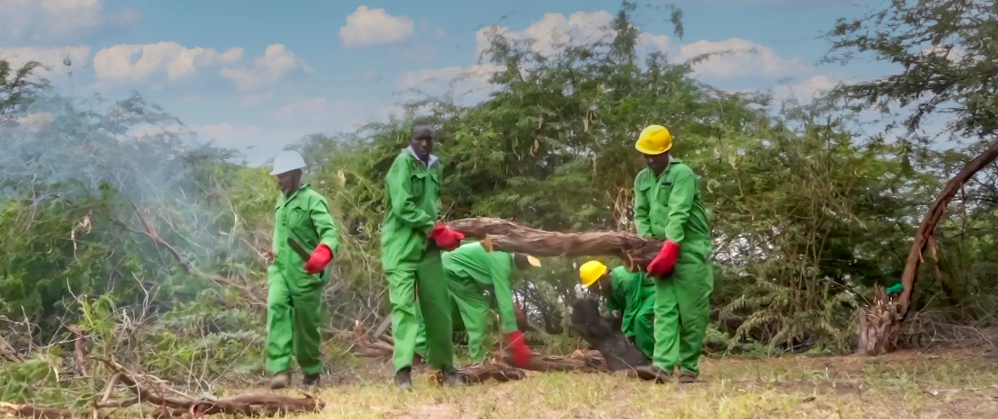 Workers in protective gear clear invasive Prosopis shrubs in Turkana County, Kenya, as part of an ILO-supported land restoration effort.