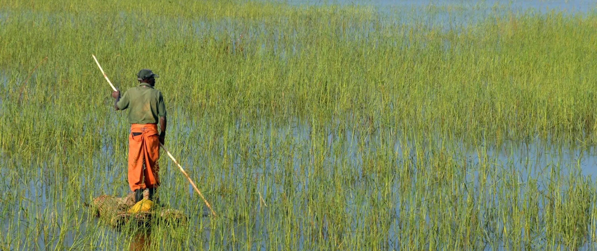 A man stands on a small floating platform in a grassy wetland in Lunda Norte, Angola, using a long pole to move through the water.