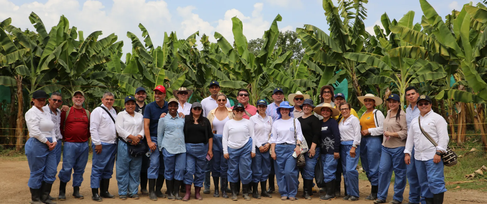 Grupo de 27 personas, compuesto por 13 mujeres y 14 hombres, posan para una foto con las palmas de banano de fondo. La mayoría se encuentra usando gorras o sombreros de ala ancha y todos portan pantalones azules y botas negras de caucho.
