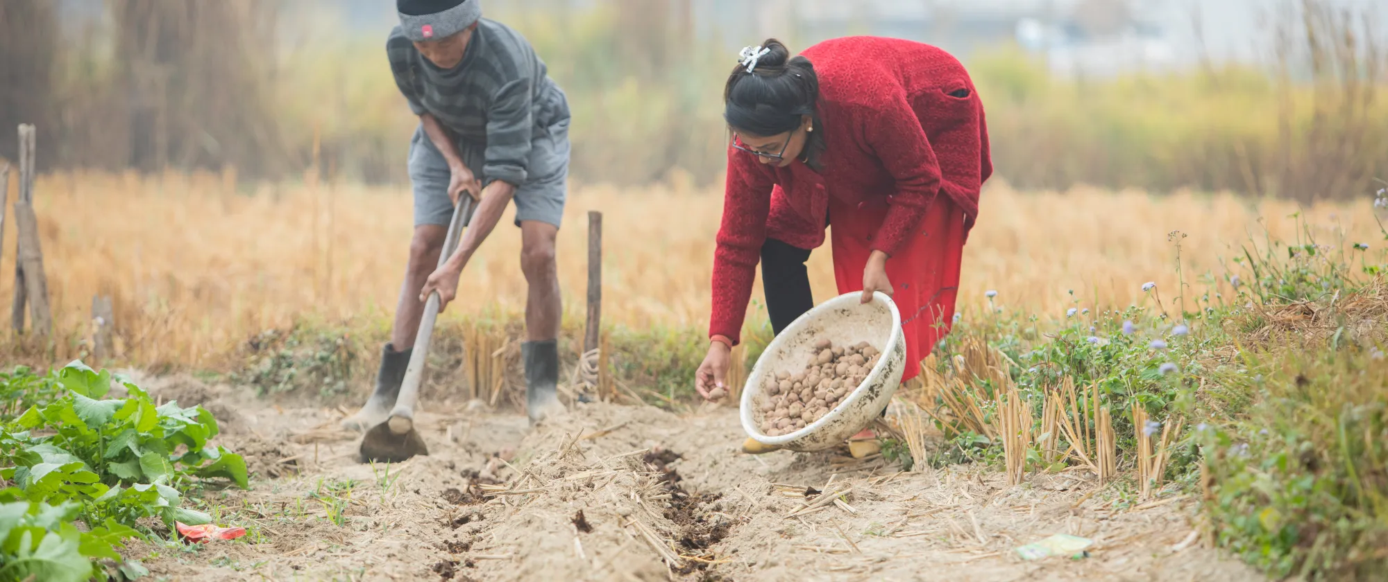 Many agricultural livelihoods are vulnerable to climate change, so protecting rural jobs and incomes is part of a Just Transition.