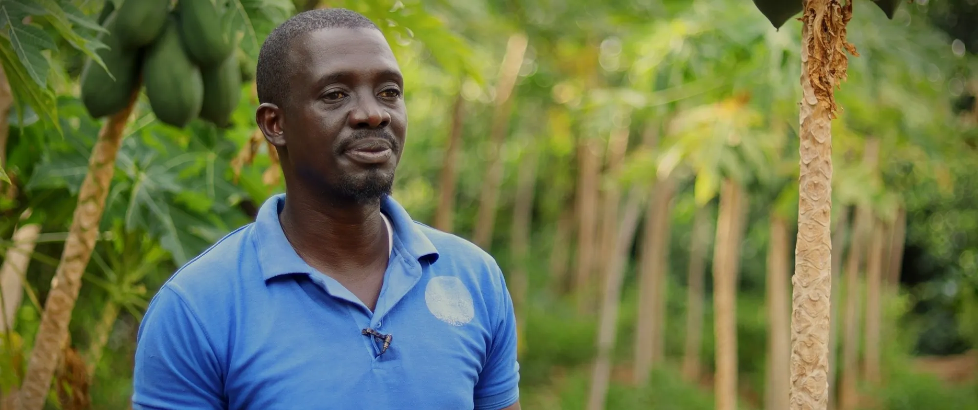 Mamoutou Coulibaly, dans son champ maraîcher, affiche un regard confiant après l’appui du projet An Ka Baara dans l’accès à des semences de qualité et à de meilleures pratiques agricoles.
