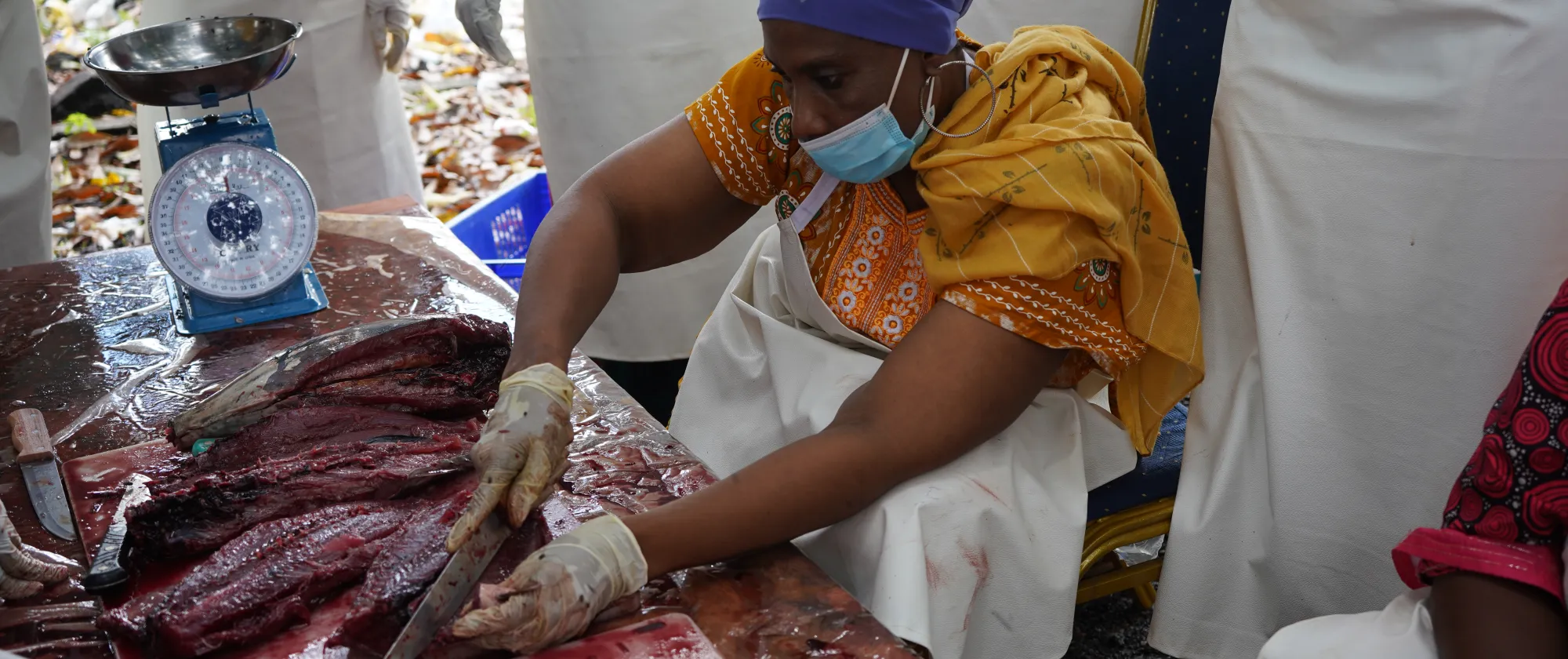 Bénéficiaire en pleine pratique suite à leur formation - Mohéli, Comores