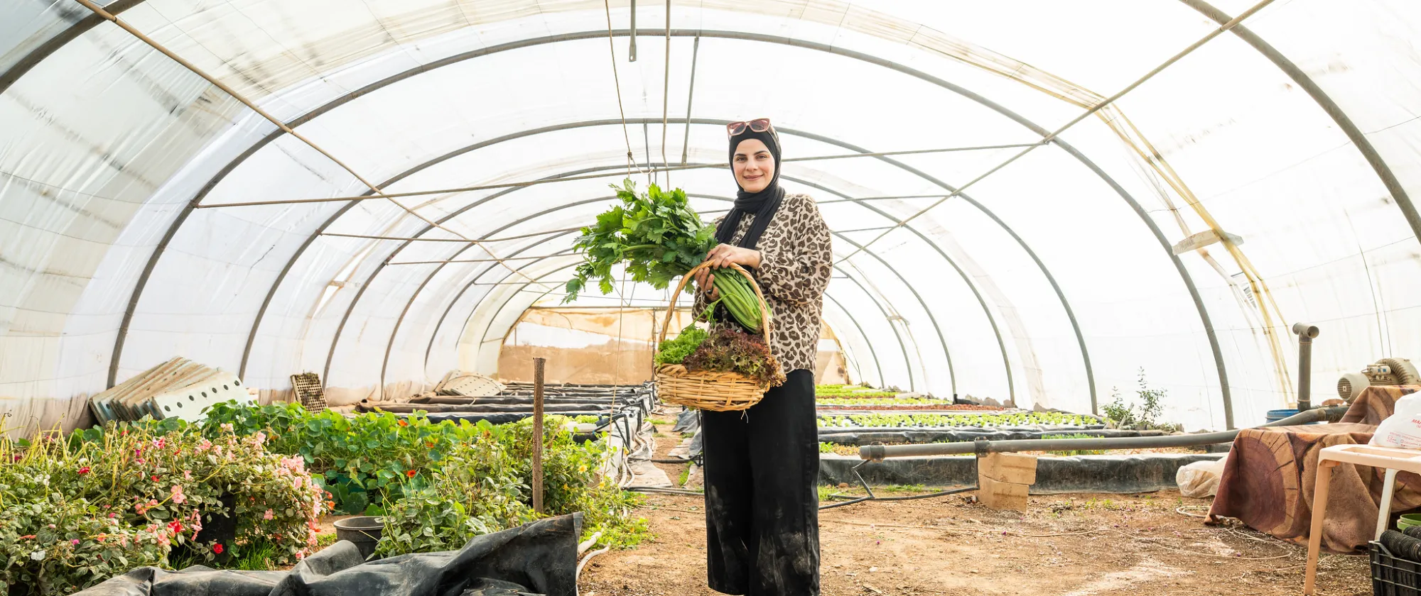 an entrepreneur lady standing inside a green house carrying her green harvest