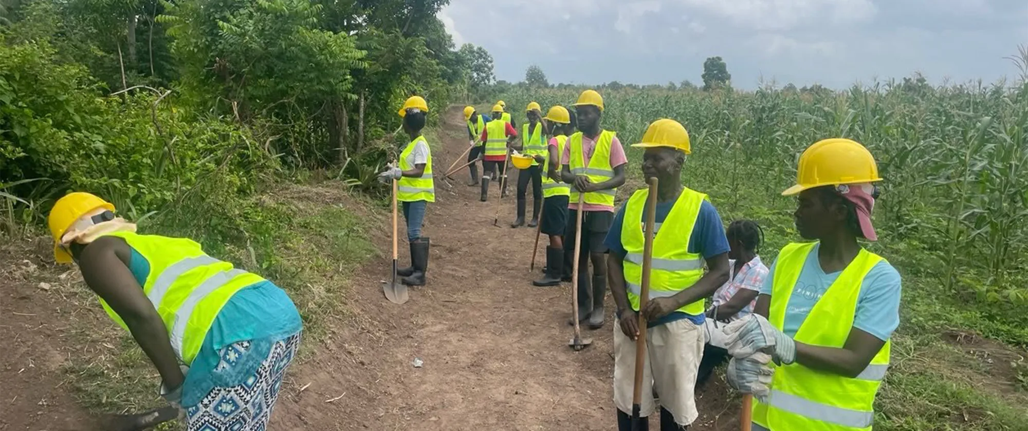 A group of manual laborers wearing yellow hard hats and neon green safety vests work on a dirt path next to a cornfield. Some workers hold shovels and tools while standing or digging along the rural terrain under an overcast sky.