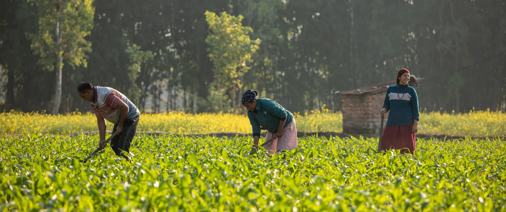 Nepal’s ratification of key ILO instruments will strengthen labour inspection, protect workers’ rights and reinforce efforts to prevent and eliminate forced labour.