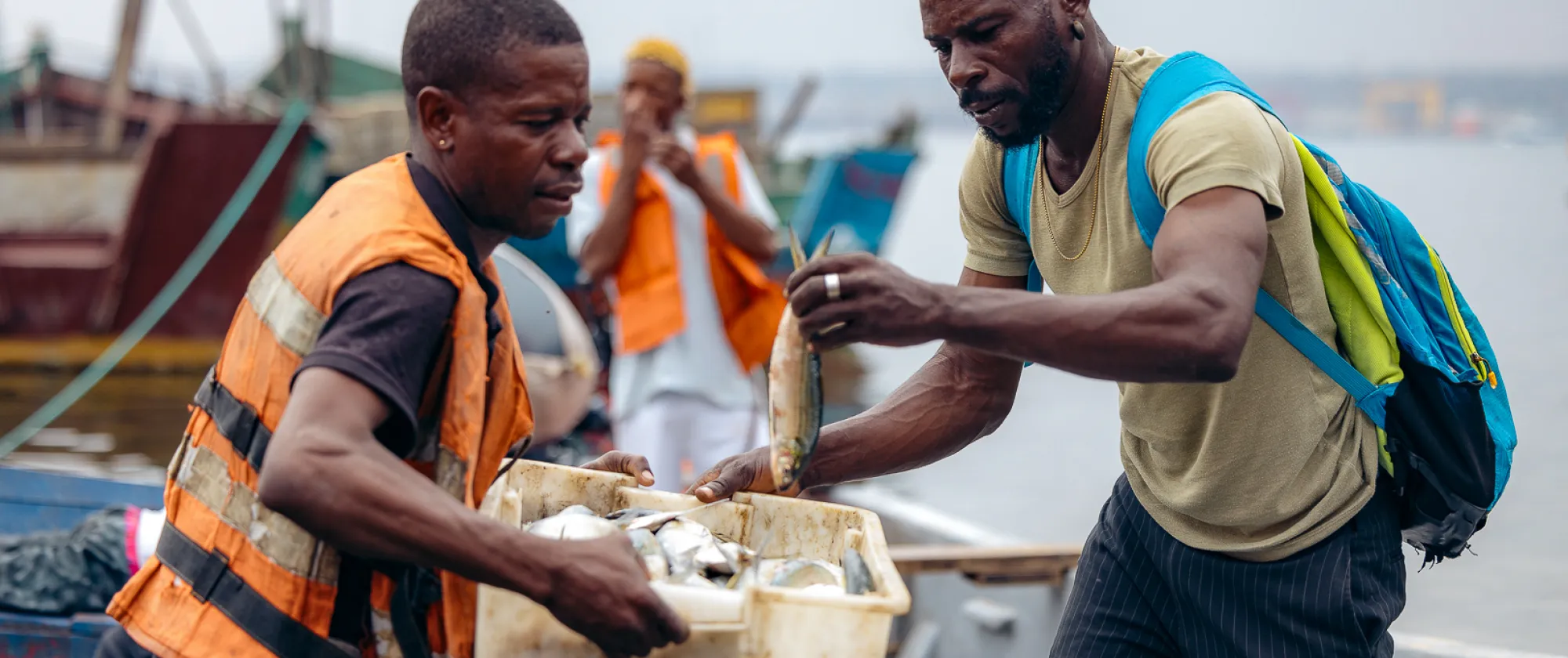 Pescador a entregar peixe no barco