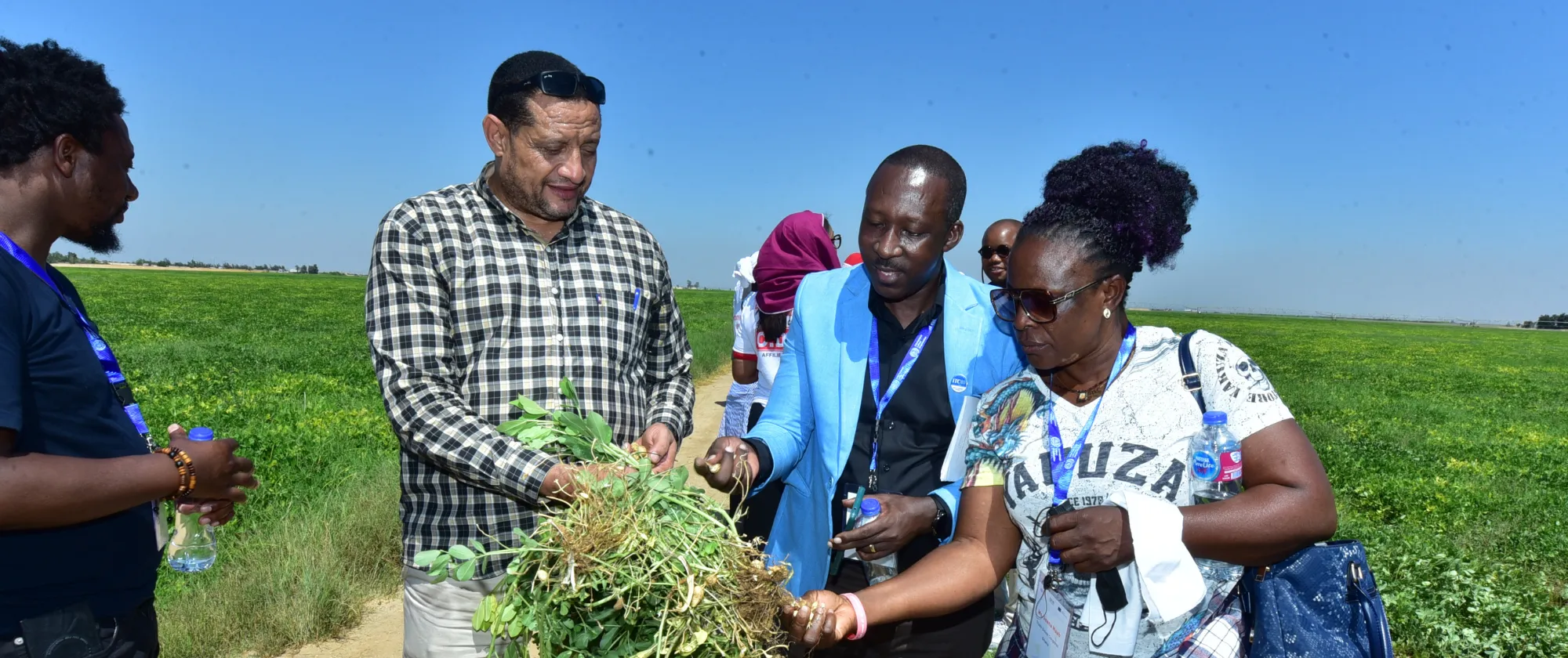Four participants stand in a field examining freshly uprooted plants during a field visit.
